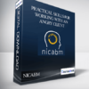 NICABM - Practical Skills for Working with an Angry Client