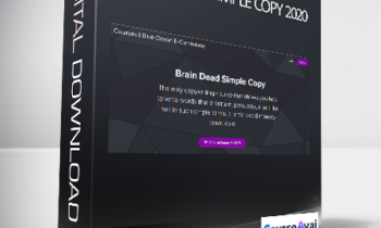 Nate Schmidt - Brain Dead Simple Copy 2020