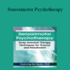 Pat Ogden - Sensorimotor Psychotherapy: Body Oriented Therapy Techniques for Trauma and Attachment