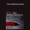 Patrick Carnes - The Gathering Storm: Addiction and the Toxic Stressors that Drive Them