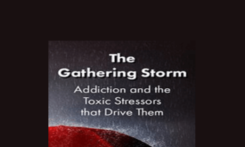 Patrick Carnes - The Gathering Storm: Addiction and the Toxic Stressors that Drive Them