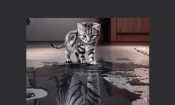 Paul Blackburn - Boost Your Self-Esteem Workshop