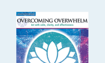 Paul Scheele - Overcoming Overwhelm Paraliminal