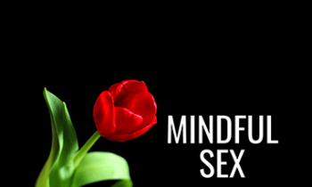 Pleasure Mechanics - Mindful Sex