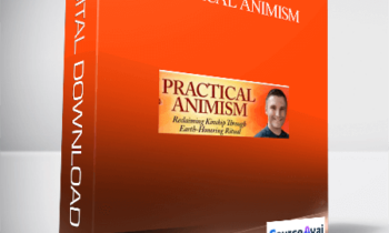 Practical Animism With Daniel Foor