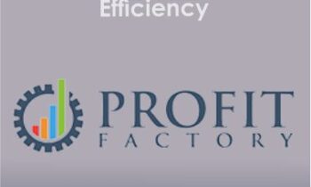 Profit Factory - Efficiency