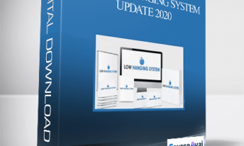 Rachel Rofé - The Low Hanging System - Update 2020