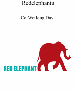 Redelephantu - Co-Working Day
