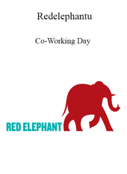 Redelephantu - Co-Working Day