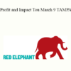 Redelephantu - Profit and Impact Tour | March 9 TAMPA