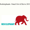 Redelephantu - Stand Out & Thrive 2019 - Jeremy Schulz