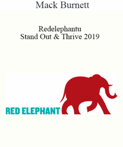 Redelephantu - Stand Out & Thrive 2019 - Mack Burnett
