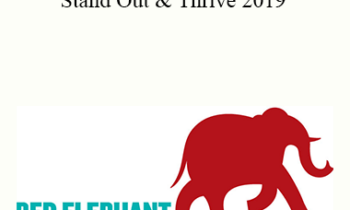 Redelephantu - Stand Out & Thrive 2019 - Sponsor Christina Clark