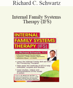 Richard C. Schwartz - Internal Family Systems Therapy (IFS): A Revolutionary & Transformative Treatment of PTSD
