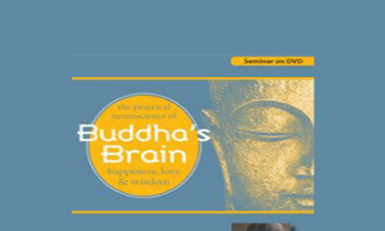 Rick Hanson - Buddha's Brain: The Practical Neuroscience of Happiness