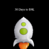 Robert Allen - 30 Days to $9K