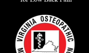 Robert J. Mendez - Therapeutic Procedures for Low Back Pain