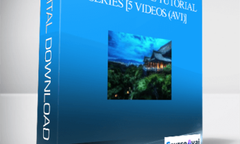 Robert Miner-Complete Price Tutorial Series [5 Videos (AVI)]