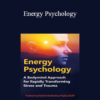 Robert Schwarz - Energy Psychology: A Bodymind Approach for Rapidly Transforming Stress and Trauma