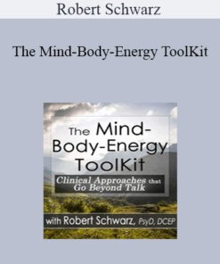 Robert Schwarz - The Mind-Body-Energy ToolKit: Clinical Approaches that Go Beyond Talk