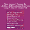 Robyn Otty - At an Impasse? Reduce the Likelihood of Escalating Behaviors Using A Sensory Framework