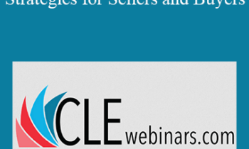 Roy Ginsburg - Law Practice for Sale: Ethical Strategies for Sellers and Buyers