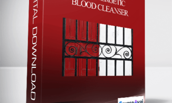 Rudy Hunter - The Energetic Blood Cleanser