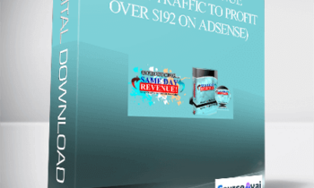 Same Day Revenue ($4.11 On Traffic to Profit Over $192 on Adsense)