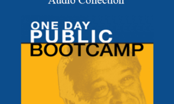 Sandler - One-Day Public Bootcamp Audio Collection