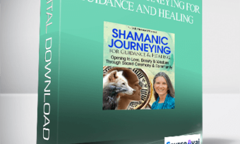 Shamanic Journeying for Guidance and Healing with Sandra Ingerman