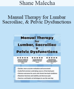 Shane Malecha - Manual Therapy for Lumbar