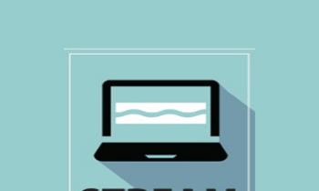 Susan Fralick-Ball - The Brain in Detail