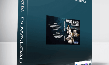 TRAVIS STEVENS – MAGIC GUARD PASSING