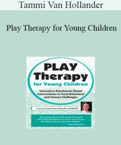 Tammi Van Hollander - Play Therapy for Young Children: Innovative Attachment-Based Interventions to Treat Behavioral and Sensory Challenges