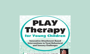 Tammi Van Hollander - Play Therapy for Young Children: Innovative Attachment-Based Interventions to Treat Behavioral and Sensory Challenges