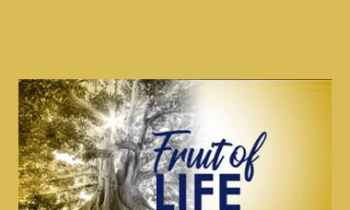 Tamra Oviatt - Fruit of Life Activation