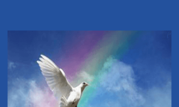 Tamra Oviatt - Heaven Can Wait