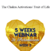 Tamra Oviatt - The Chakra Activations/ Fruit of Life