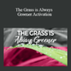 Tamra Oviatt - The Grass is Always Greener Activation