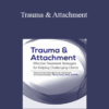 Terry Levy - Trauma & Attachment: Effective Treatment Strategies for Helping Challenging Clients