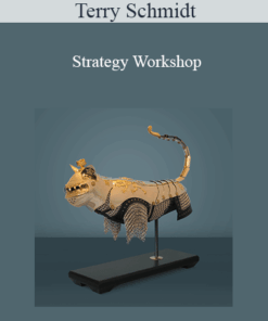 Terry Schmidt - Strategy Workshop