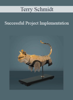 Terry Schmidt - Successful Project Implementation