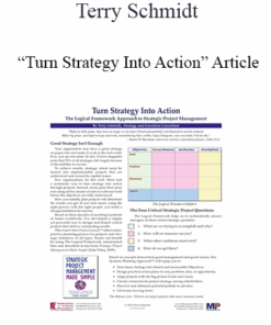 Terry Schmidt - “Turn Strategy Into Action” Article