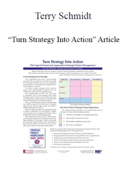 Terry Schmidt - “Turn Strategy Into Action” Article