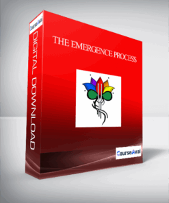 The Emergence Process