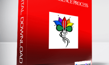 The Emergence Process