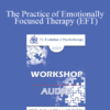 [Audio] EP09 Workshop 17 - The Practice of Emotionally Focused Therapy (EFT): Established Wisdom and New Developments - Susan Johnson