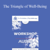 [Audio] EP09 Workshop 38 - The Triangle of Well-Being - Daniel Siegel