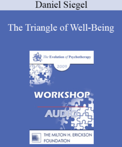 [Audio] EP09 Workshop 38 - The Triangle of Well-Being - Daniel Siegel