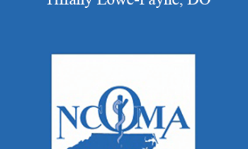 Tiffany Lowe Lowe Payne - The Social Determinants of Obesity - Tiffany Lowe-Payne